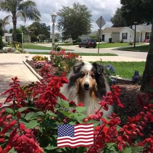 Meet your Posher, Rita